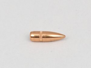 CAM PRO 223 FMJ 55 GR