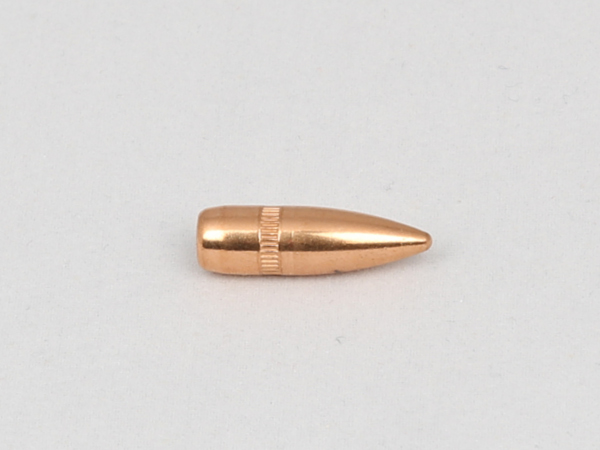 CAM PRO 223 FMJ 55 GR